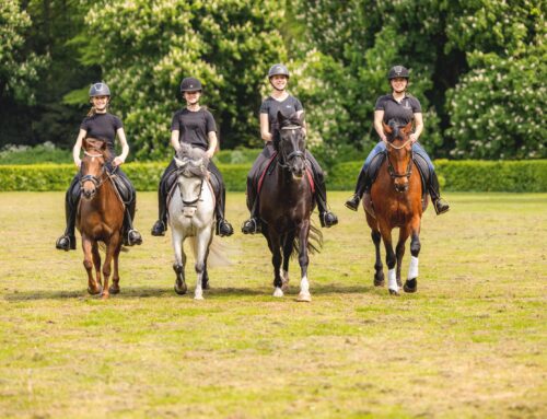 Jeugd “bootcamp” zomer 2026